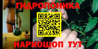Альфа ПВП Заволжье